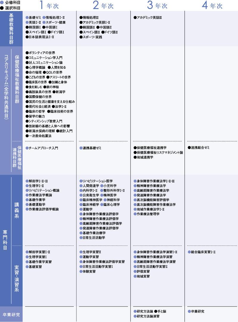 カリキュラム 作業療法学科 学部 学科 新潟医療福祉大学